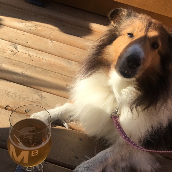 Meet your Posher, Robyn - Picture 1 of 1